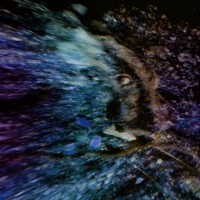 /album/in-the-land-behind-the-magic-mirror/a016-abstract-land-jpg/